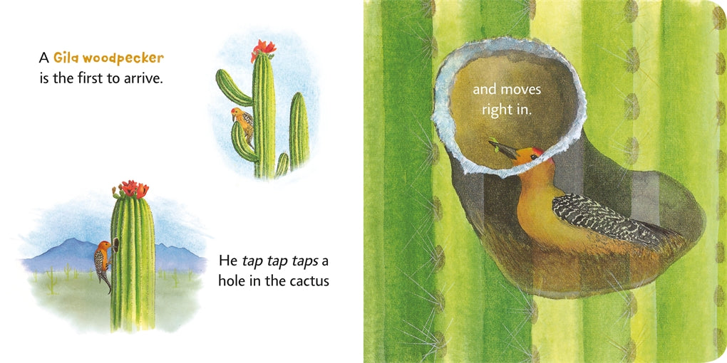 Cactus Hotel (Kids Book)