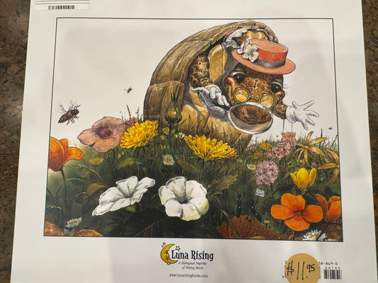 The Tortoise And The Jackrabbit Book