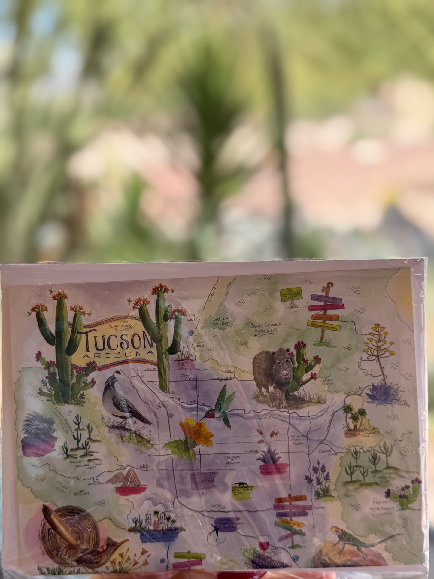 Greeting Cards (Susal Libby)